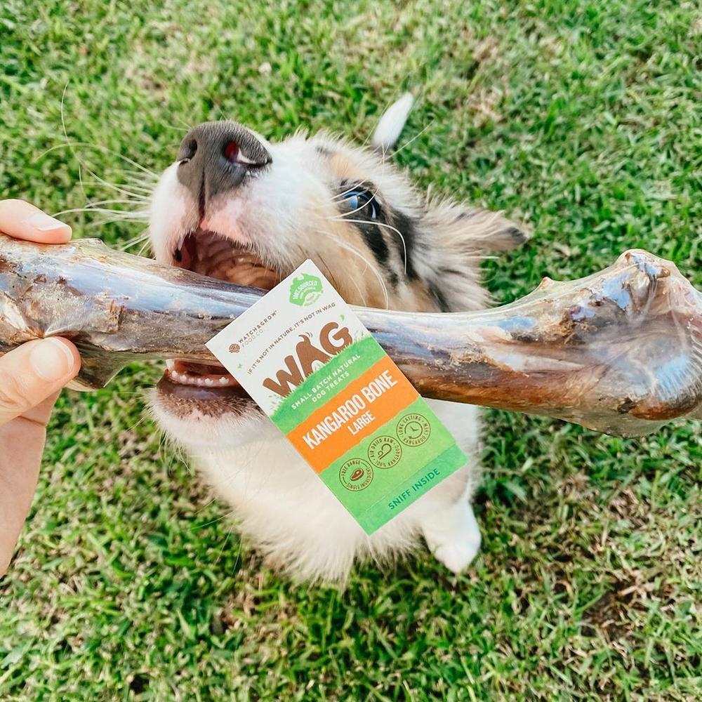 WAG Kangaroo Bone Dog Treats Large