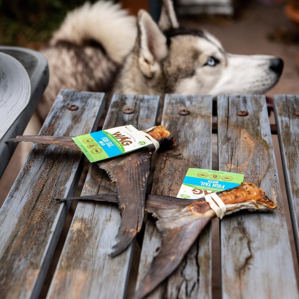 Wag Queen Fish Tail Chew Dog Treats