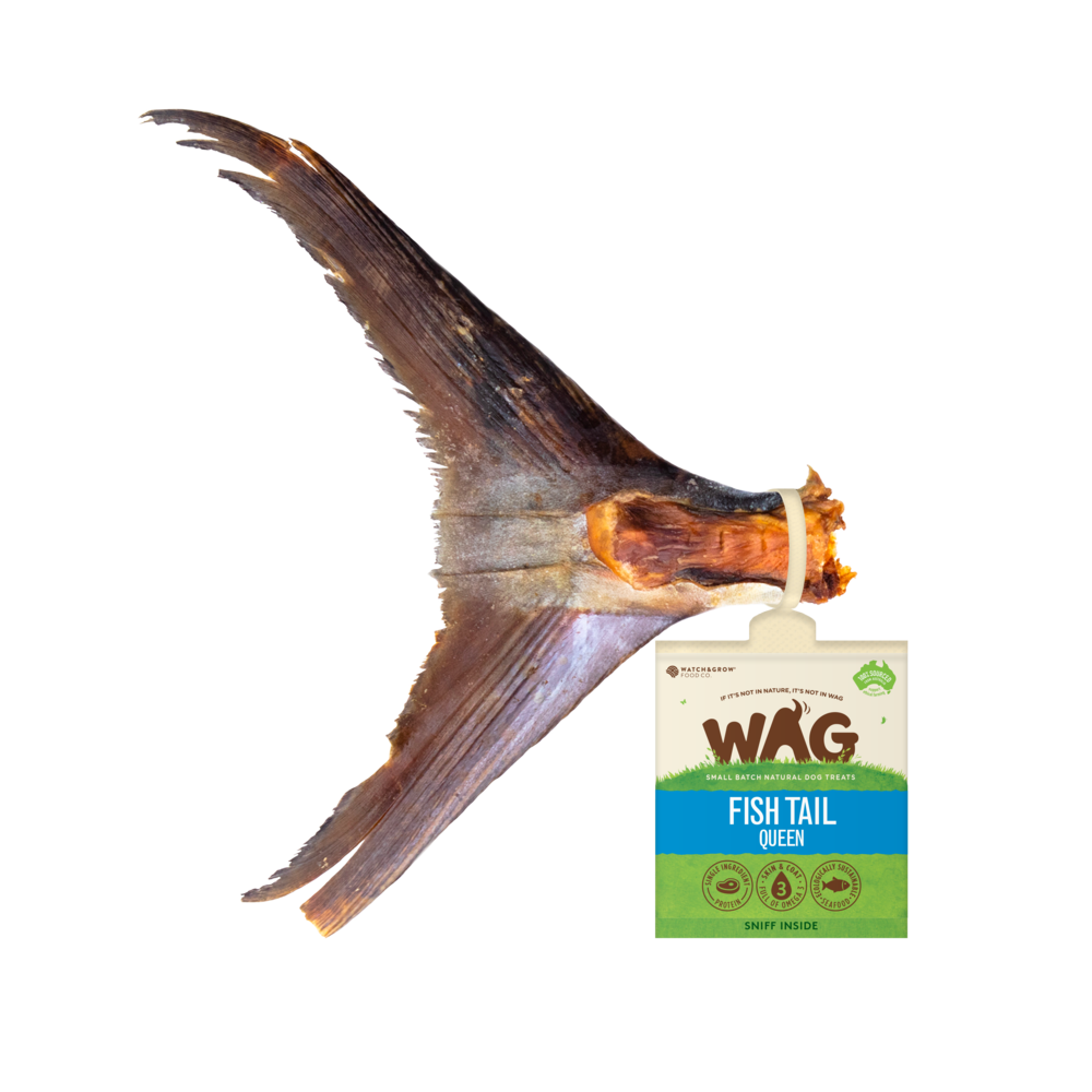 Wag Queen Fish Tail Chew Dog Treats