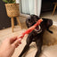 WAG Braided Bully Sticks Occupy Dog Treats Small