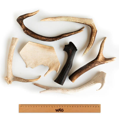 WAG WHOLE DEER ANTLER Dog Treats Small and Large