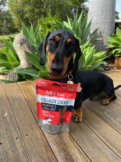 BELL & BONE COLLAGEN STICKS FOR PUPPIES: BEEF AND