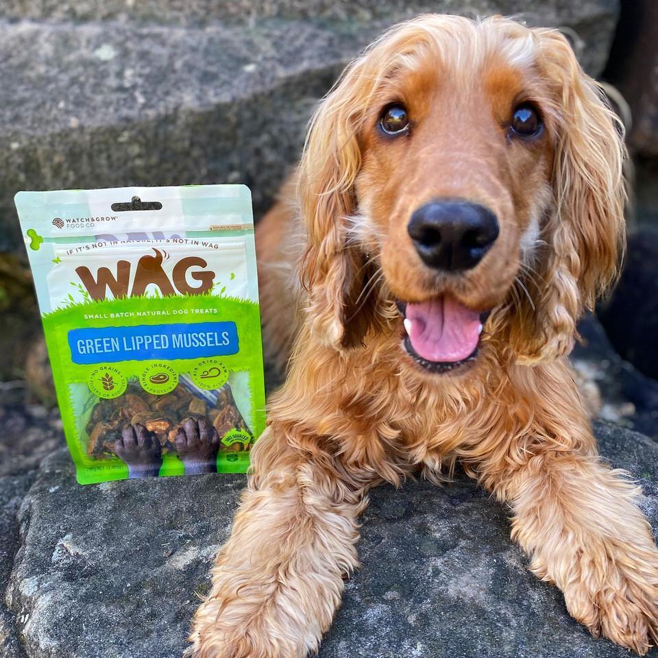 WAG Dog Treats GREEN LIPPED MUSSELSE|50g|200g|