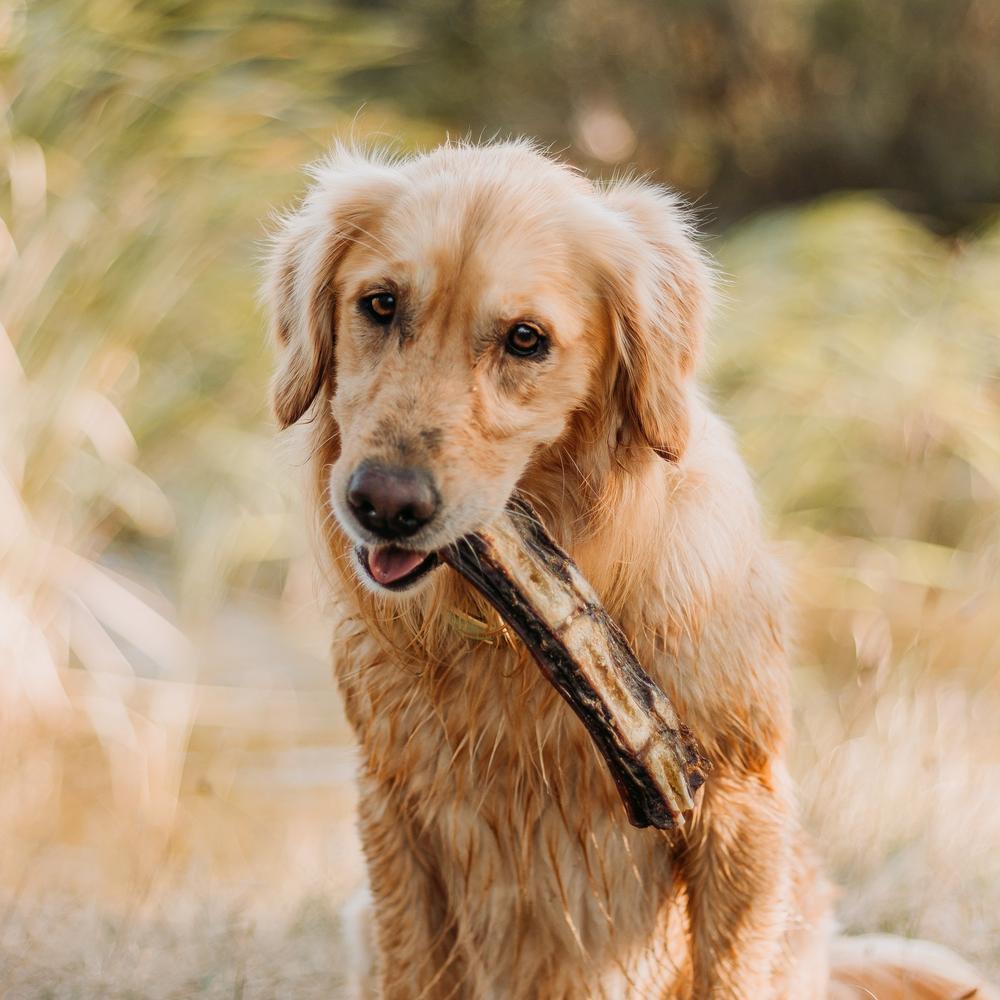 WAG Dog Treats KANGAROO TAIL BONE