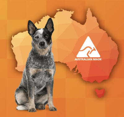 Loyaltypettreats Kangaroo Tendons 1KG DOG Treats