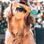 WAG Dog Treats COFFEE WOOD CHEWS 4 size