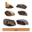 Wag KANGAROO FILLED COW HOOVES Dog Treat 10pack
