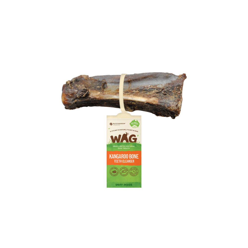 Wag whole KANGAROO TEETH CLEANSER BONE Dog Treat