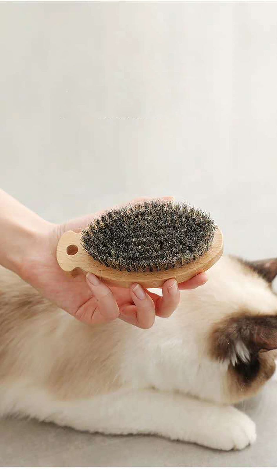 MOMI Japan Pet Grooming Bristle Brush/Cat Hair Bri