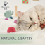 Catnip Essential Hydrosol Spary For Cats Natural F