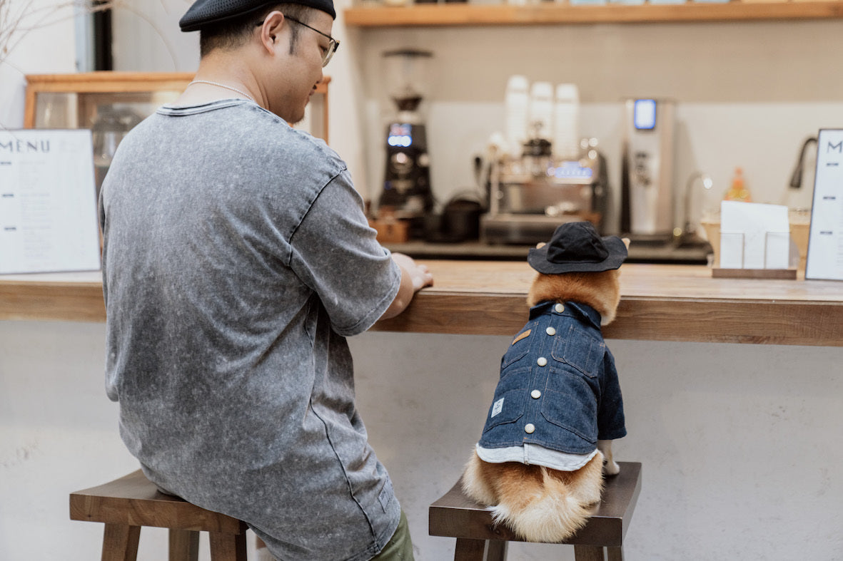 Cute Dog Denim Vest Jacket Pet Clothes Puppy Cloth