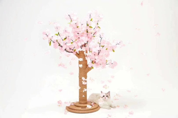 Vetreska Scratcher Cherry Blossom Tree Cat Kitten