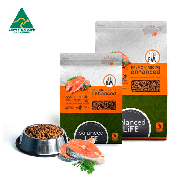 enhanced salmon dry dog food – League of Pets