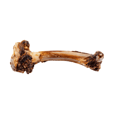 lamb bone