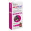Very Large Dog Purple