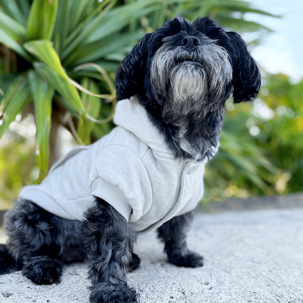 Hoodie Mt Snowy Cloud