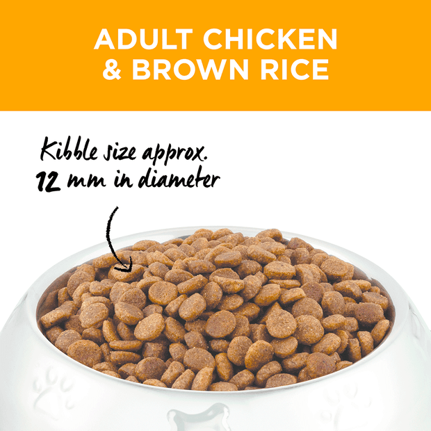 dry dog food adult chicken and brown rice