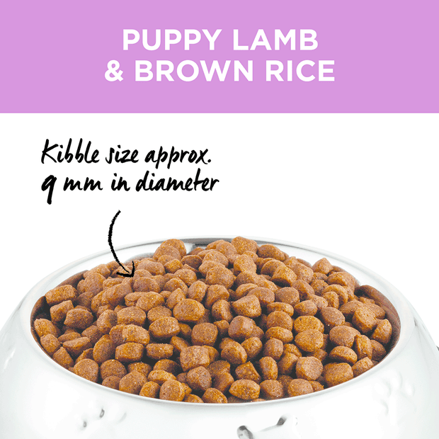 dry dog food puppy lamb and brown rice
