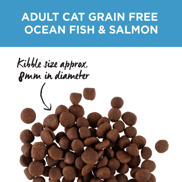 grain free dry cat food adult ocean fish and salmon