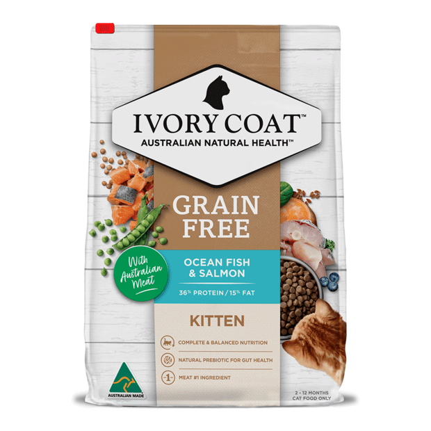 grain free dry cat food kitten ocean fish and salmon