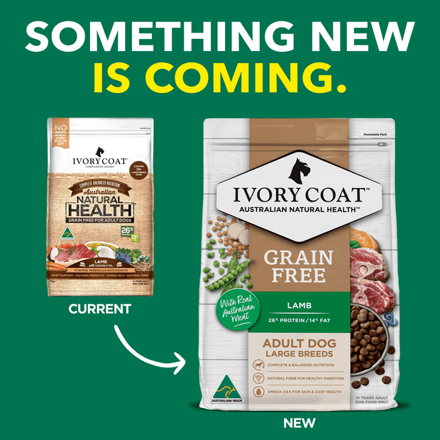 grain free dry dog food adult lamb and coconut oil – League of Pets