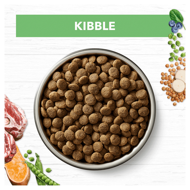 grain free dry dog food large breed puppy lamb