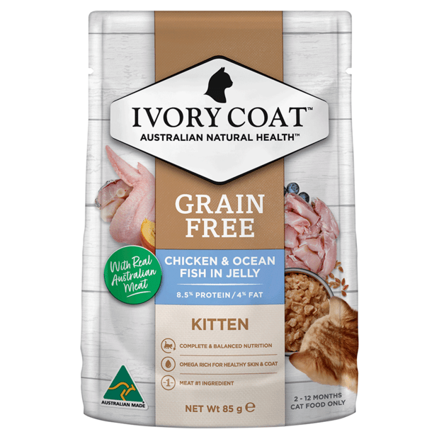 grain free wet cat food kitten chicken fish jelly