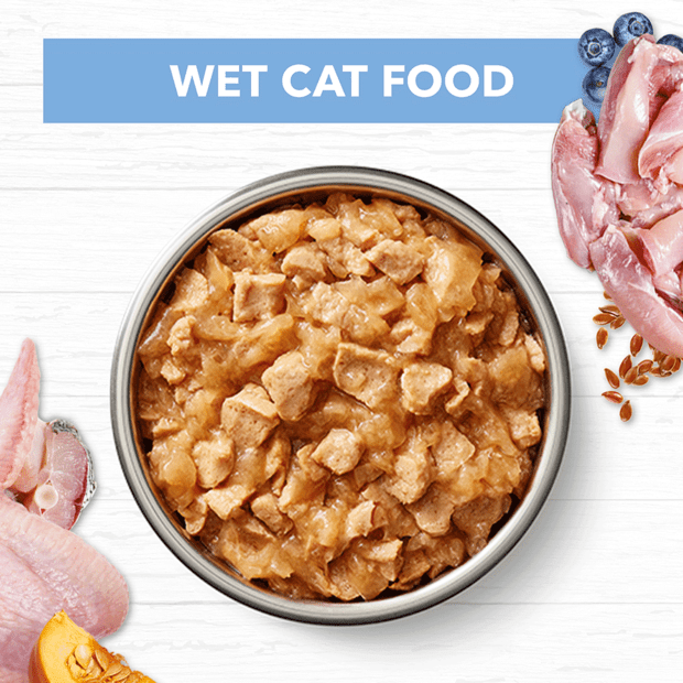 grain free wet cat food kitten chicken fish jelly