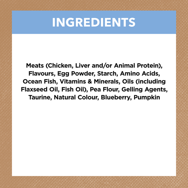 grain free wet cat food kitten chicken fish jelly