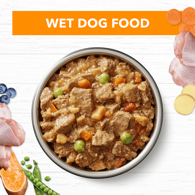 grain free wet dog food adult chicken stew – League of Pets