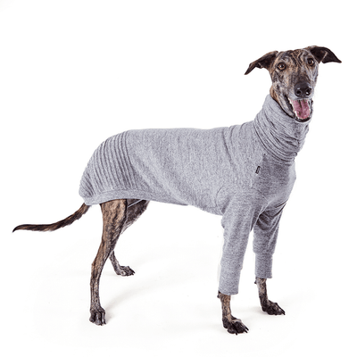 Jumper Greyhound Softie Grey