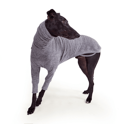 Jumper Greyhound Softie Grey