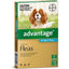Advantage Flea Control  for Medium Dogs (4-10kg) -  6 Pack (Aqua))