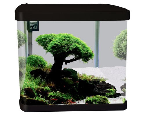LIFESTYLE 29 GLASS AQUARIUM 29L BLACK~