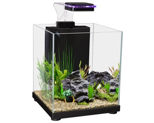 BETTA SANCTUARY 10L BLACK~