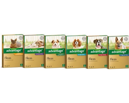 ADVANTAGE FOR SMALL DOGS UNDER 4KG 4 PACK (GREEN)