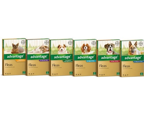 ADVANTAGE FOR SMALL DOGS UNDER 4KG 6 PACK (GREEN)