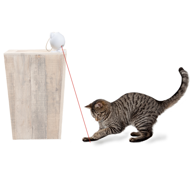 Dancing Dot Laser Cat Toy