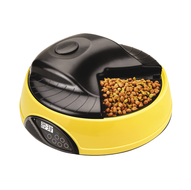 Automatic Feeder 05 League of Pets