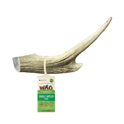 dog treats antler whole