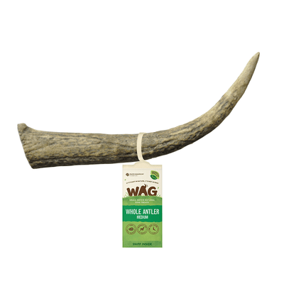 dog treats antler whole