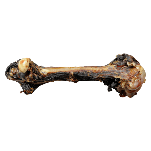 dog treats kangaroo bone large