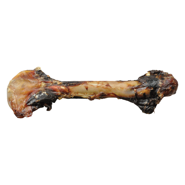 dog treats kangaroo bone large