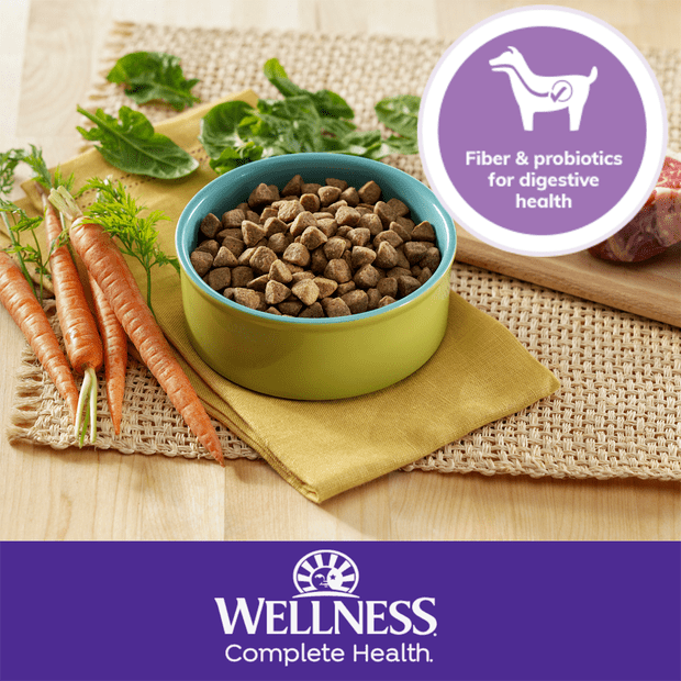 complete health grain free lamb meal adult dry dog food – League of Pets