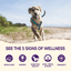 complete health grain free whitefish and menhaden fish meal adult dry dog food