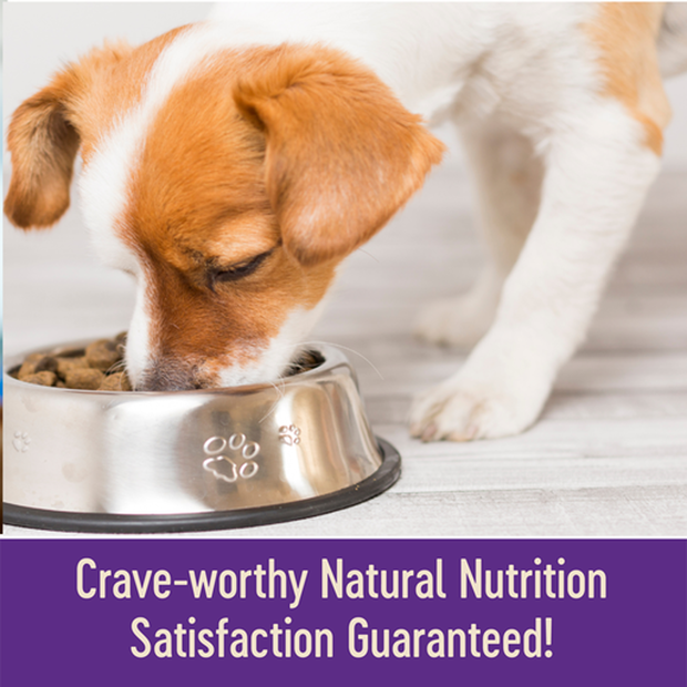 complete heatlh grain free small bread adult deboned turkey chicken meal and salmon meal dry dog food