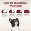 core grain free lamb dry dog food