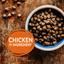 core grain free large breed puppy dry dog food