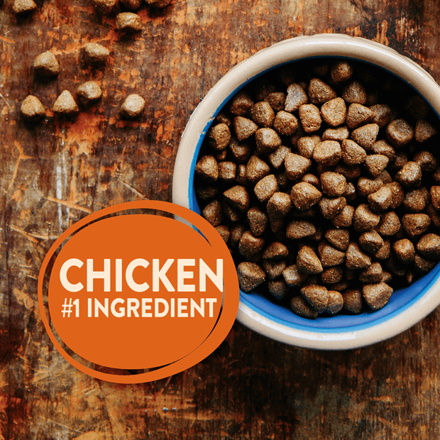core grain free large breed puppy dry dog food