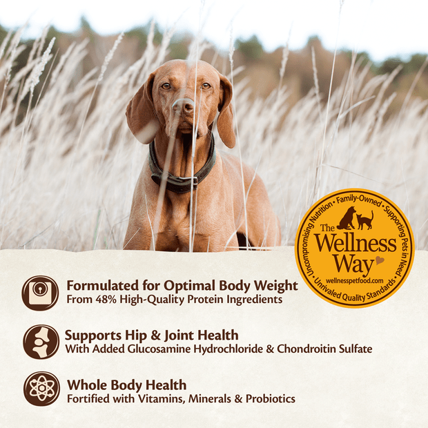 core grain free large breed puppy dry dog food